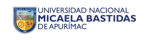 Universidad Nacional Micaela Bastidas de Apurímac | UNAMBA